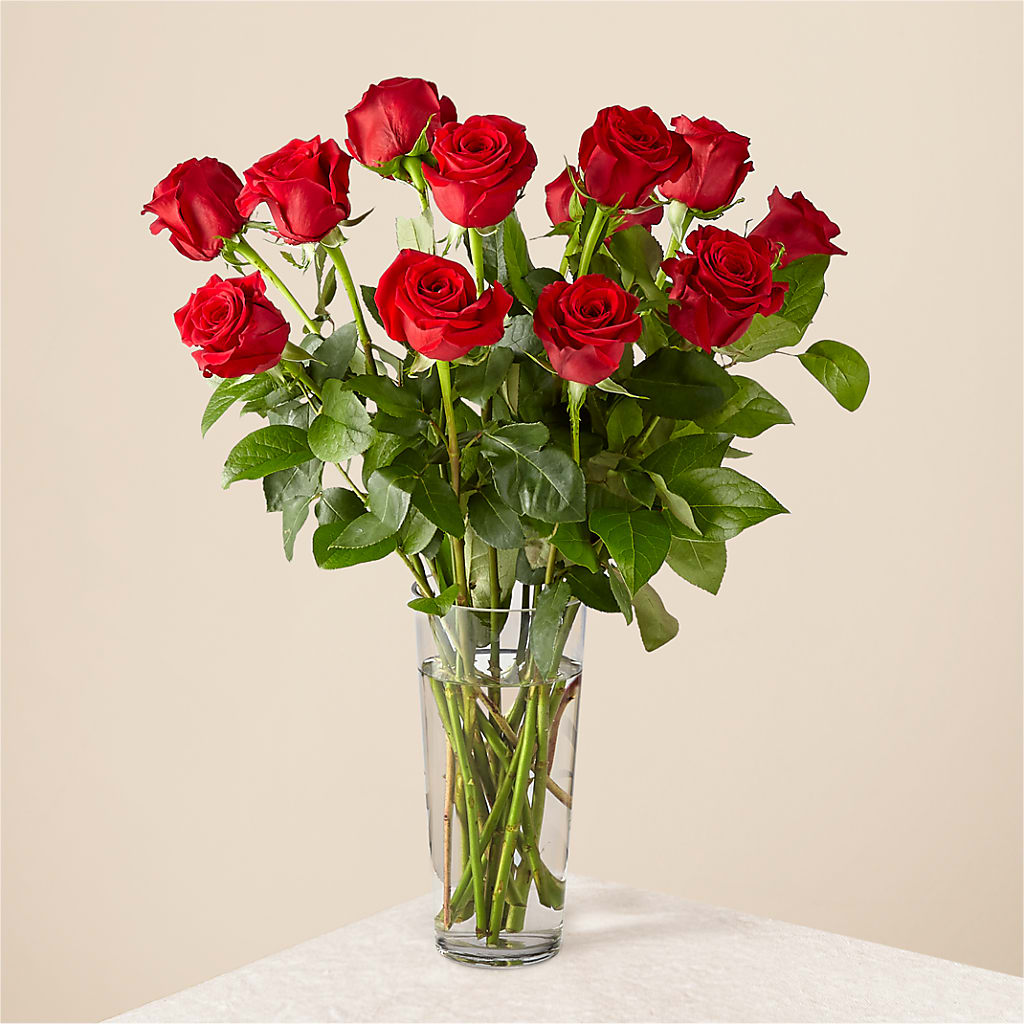Long Stem Red Rose Bouquet – Charlynda Fleuriste, Sherbrooke PQ