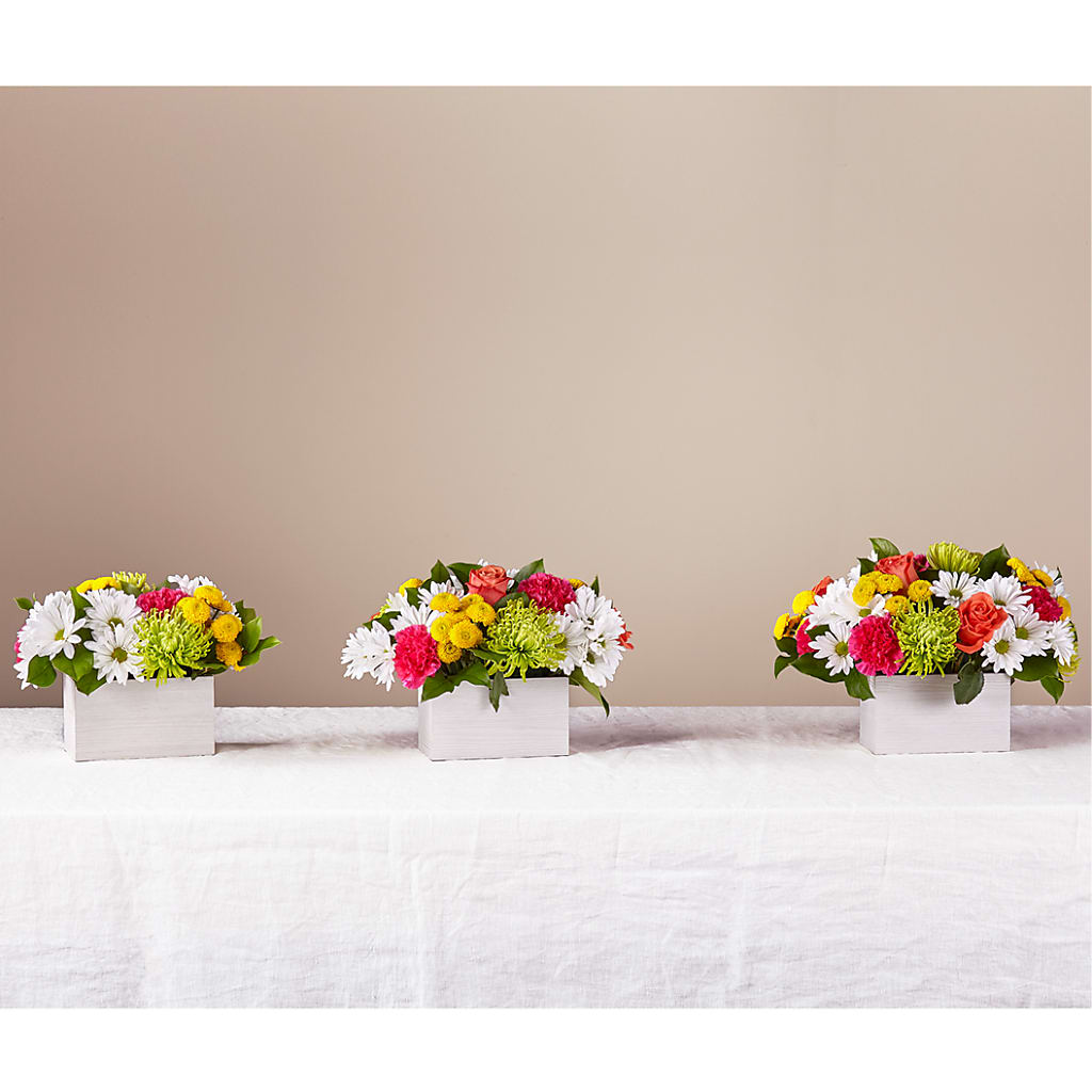 Sorbet Bouquet – Charlynda Fleuriste, Sherbrooke PQ