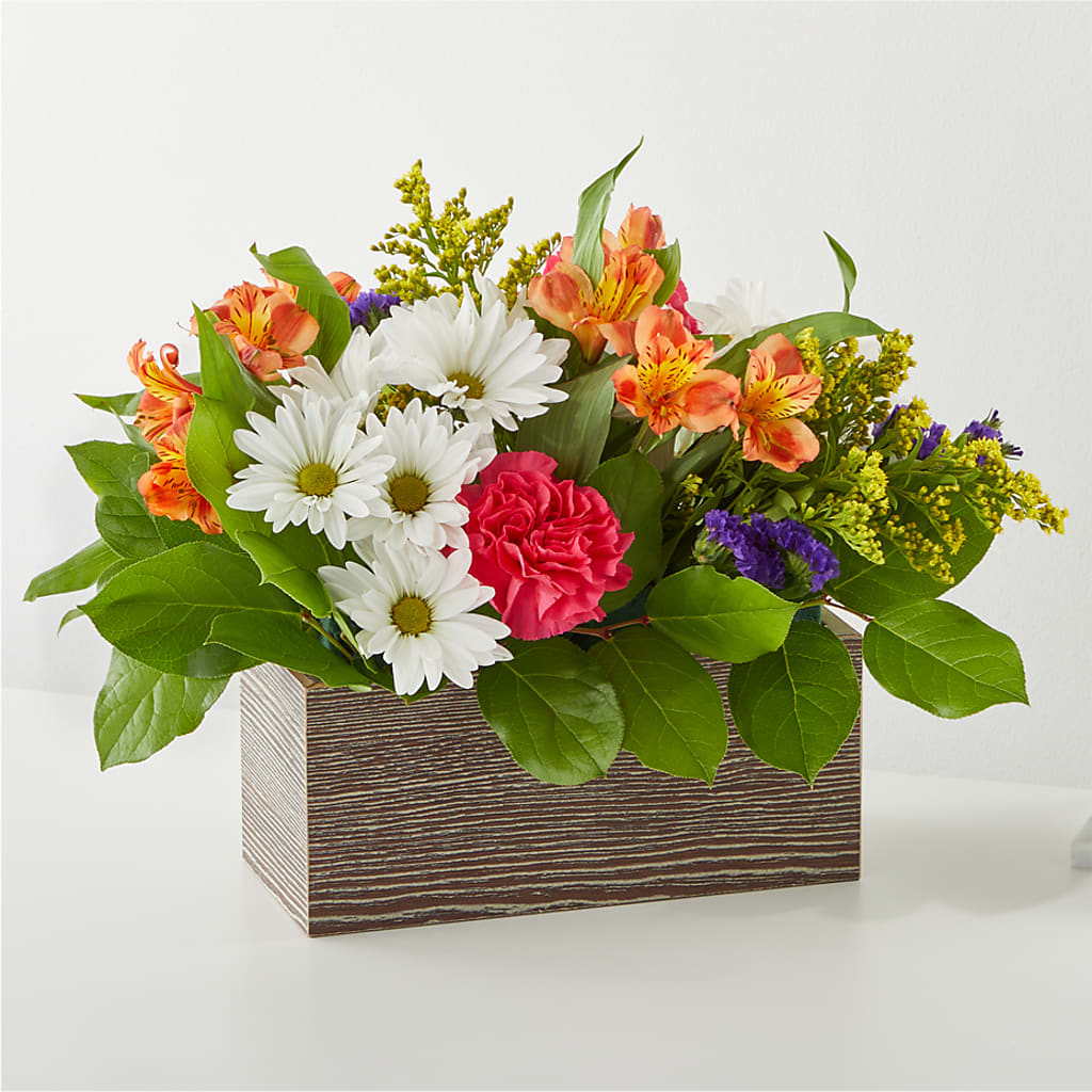 Oopsie Daisy Box Bouquet – Charlynda Fleuriste, Sherbrooke PQ