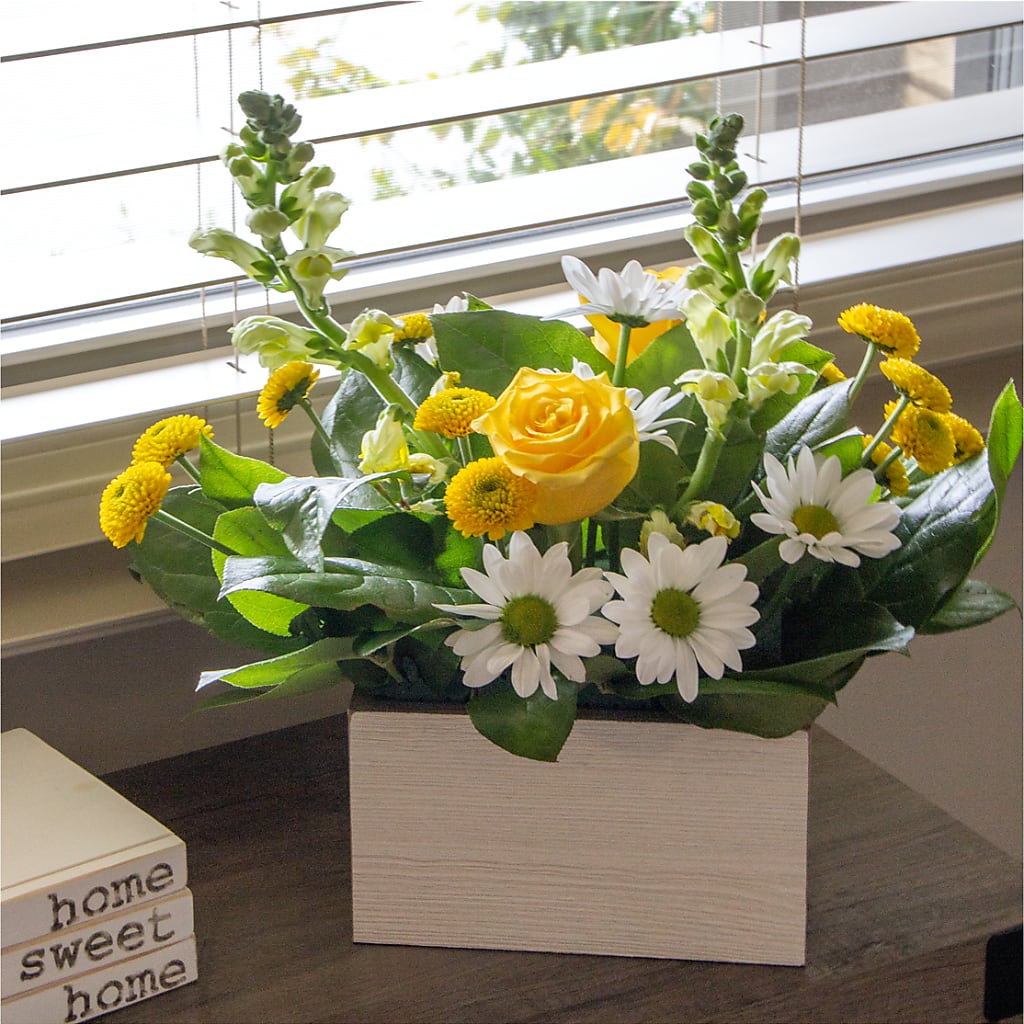 Sun Salutation Box Bouquet – Charlynda Fleuriste, Sherbrooke PQ