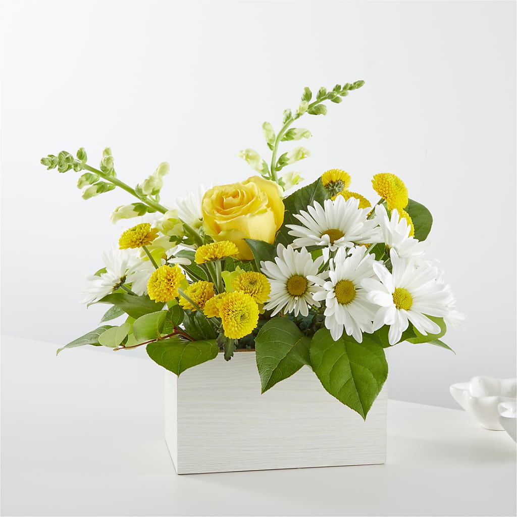 Sun Salutation Box Bouquet – Charlynda Fleuriste, Sherbrooke PQ