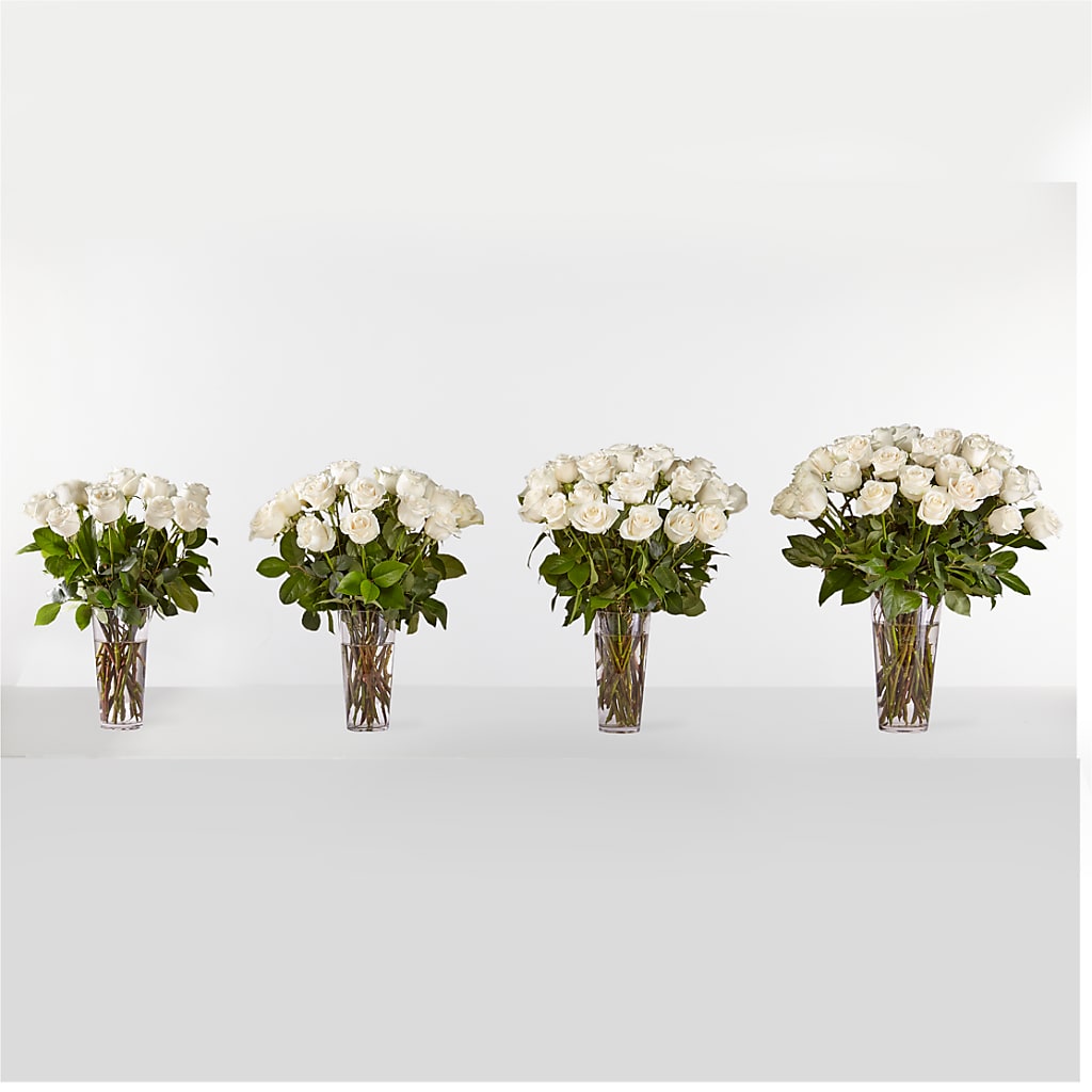 Long Stem White Rose Bouquet – Charlynda Fleuriste, Sherbrooke PQ