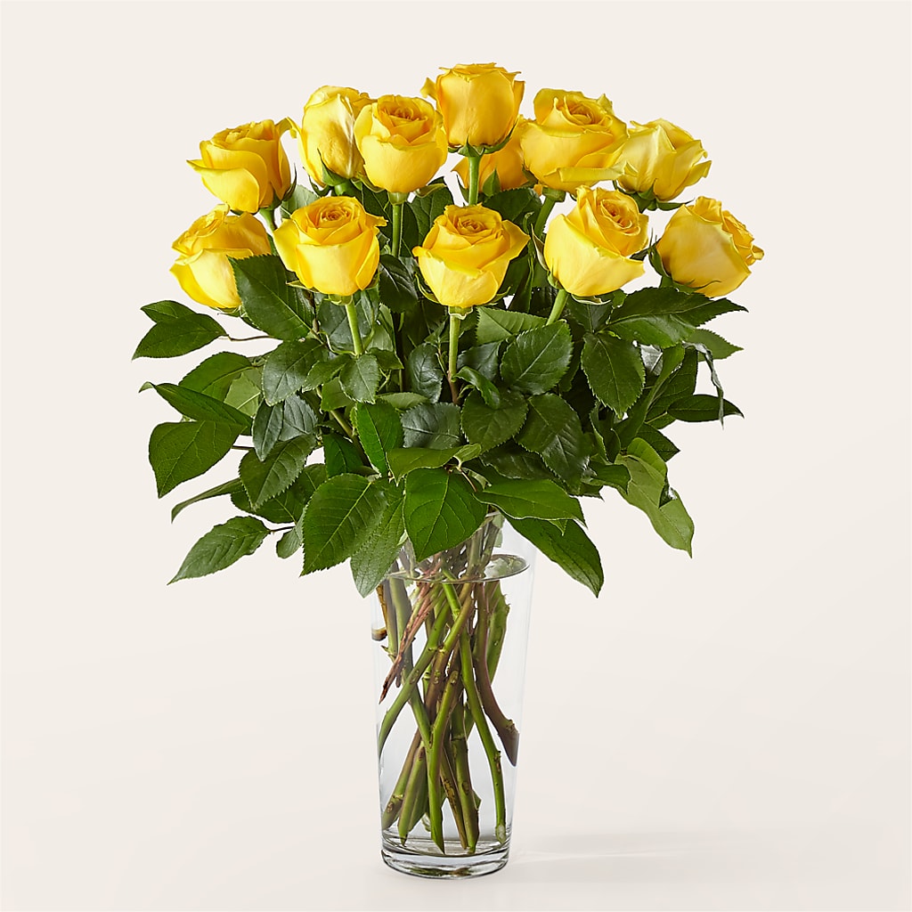 Long Stem Yellow Rose Bouquet – Charlynda Fleuriste, Sherbrooke PQ
