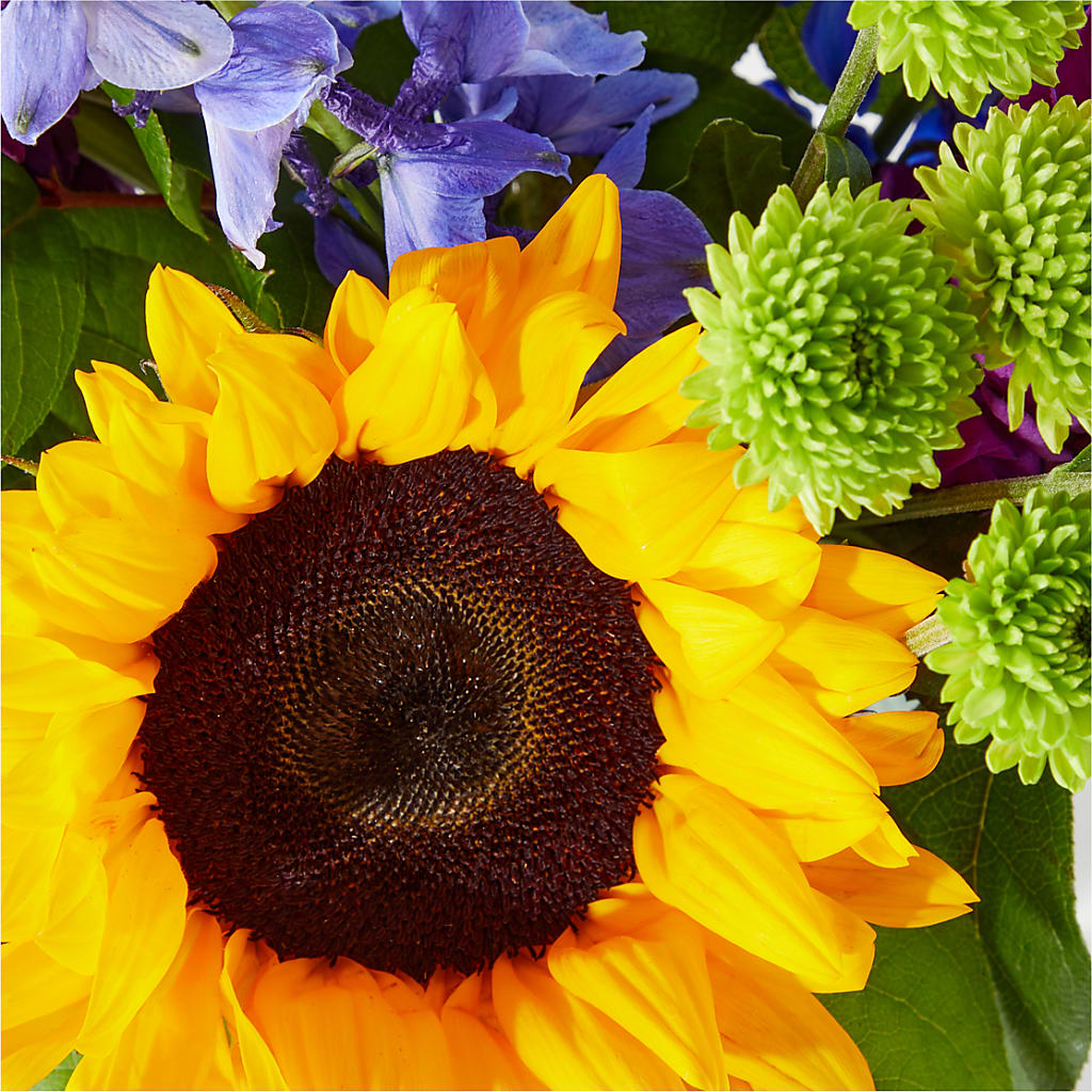 Catching Rays Bouquet – Charlynda Fleuriste, Sherbrooke PQ