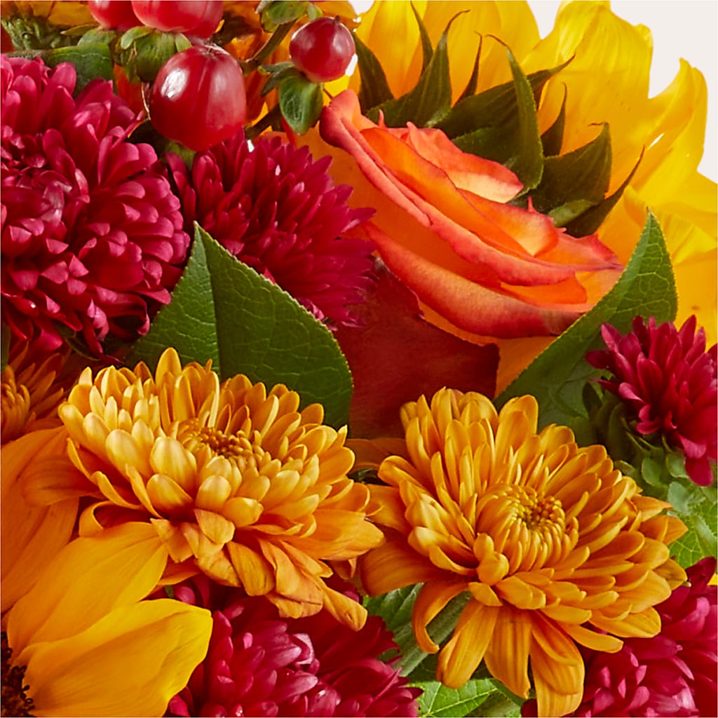 Sweater Season - A Florist Original – Charlynda Fleuriste, Sherbrooke PQ