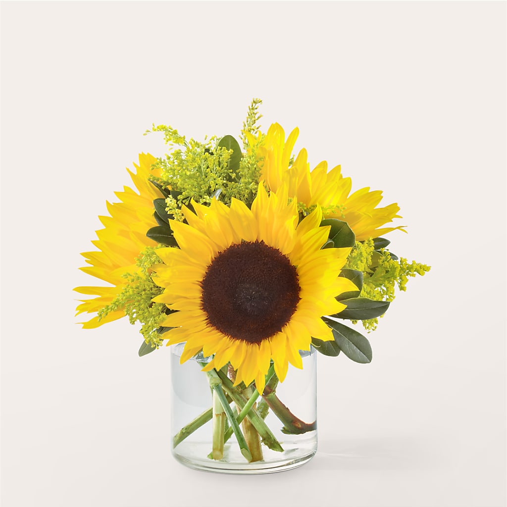 Beaming Sunflower Bouquet – Charlynda Fleuriste, Sherbrooke PQ
