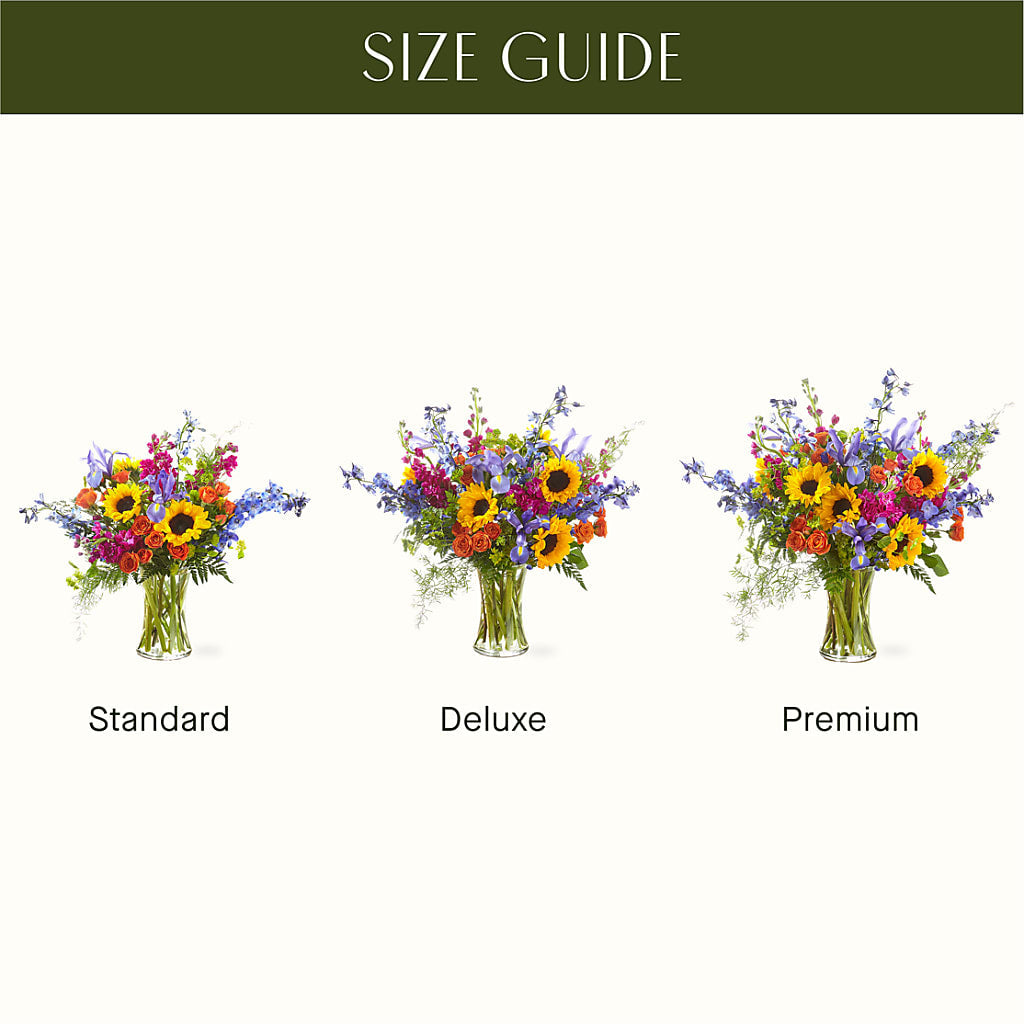 Rays of Life Bouquet – Charlynda Fleuriste, Sherbrooke PQ