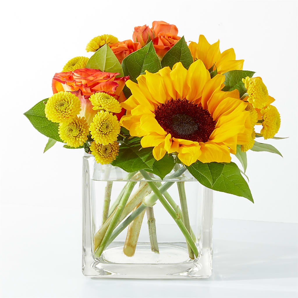 Picnic in the Park Bouquet – Charlynda Fleuriste, Sherbrooke PQ