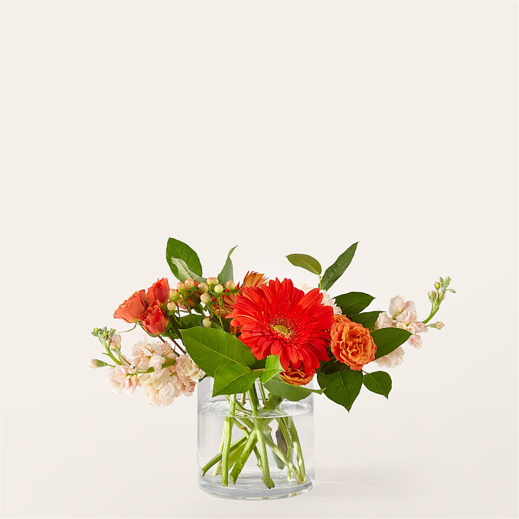 Paloma Please Bouquet – Charlynda Fleuriste, Sherbrooke PQ