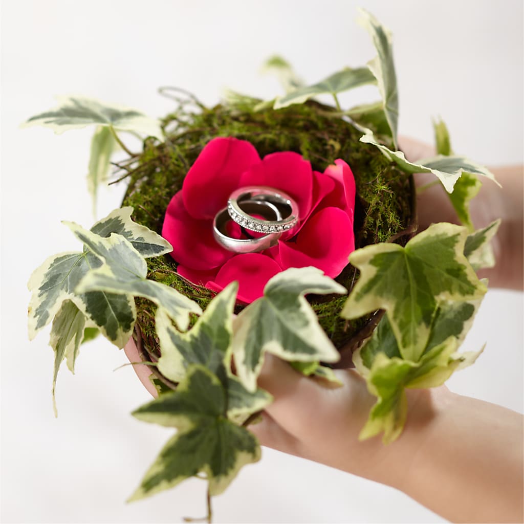 Lila Rose Ring Nest – Charlynda Fleuriste, Sherbrooke PQ