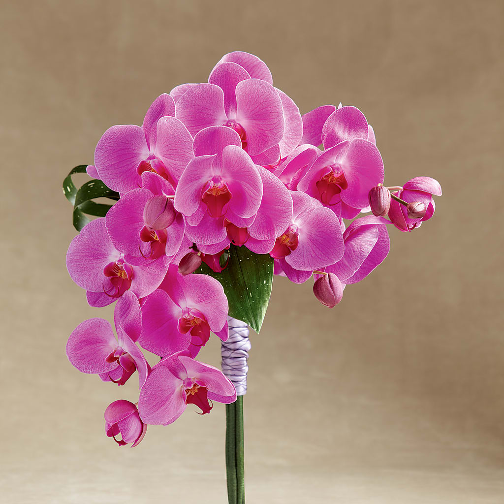 Glorious Bouquet – Charlynda Fleuriste, Sherbrooke PQ