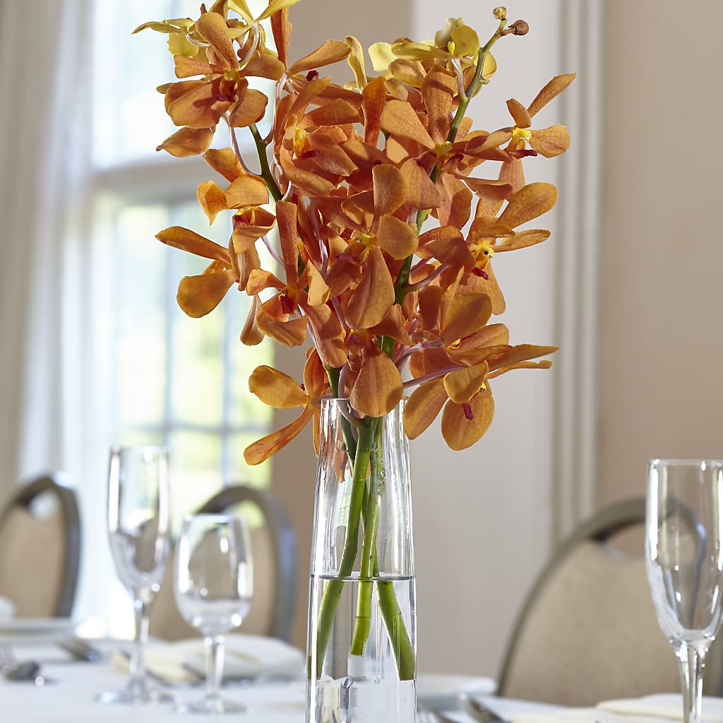 Orange Mokara Bud Vase – Charlynda Fleuriste, Sherbrooke PQ