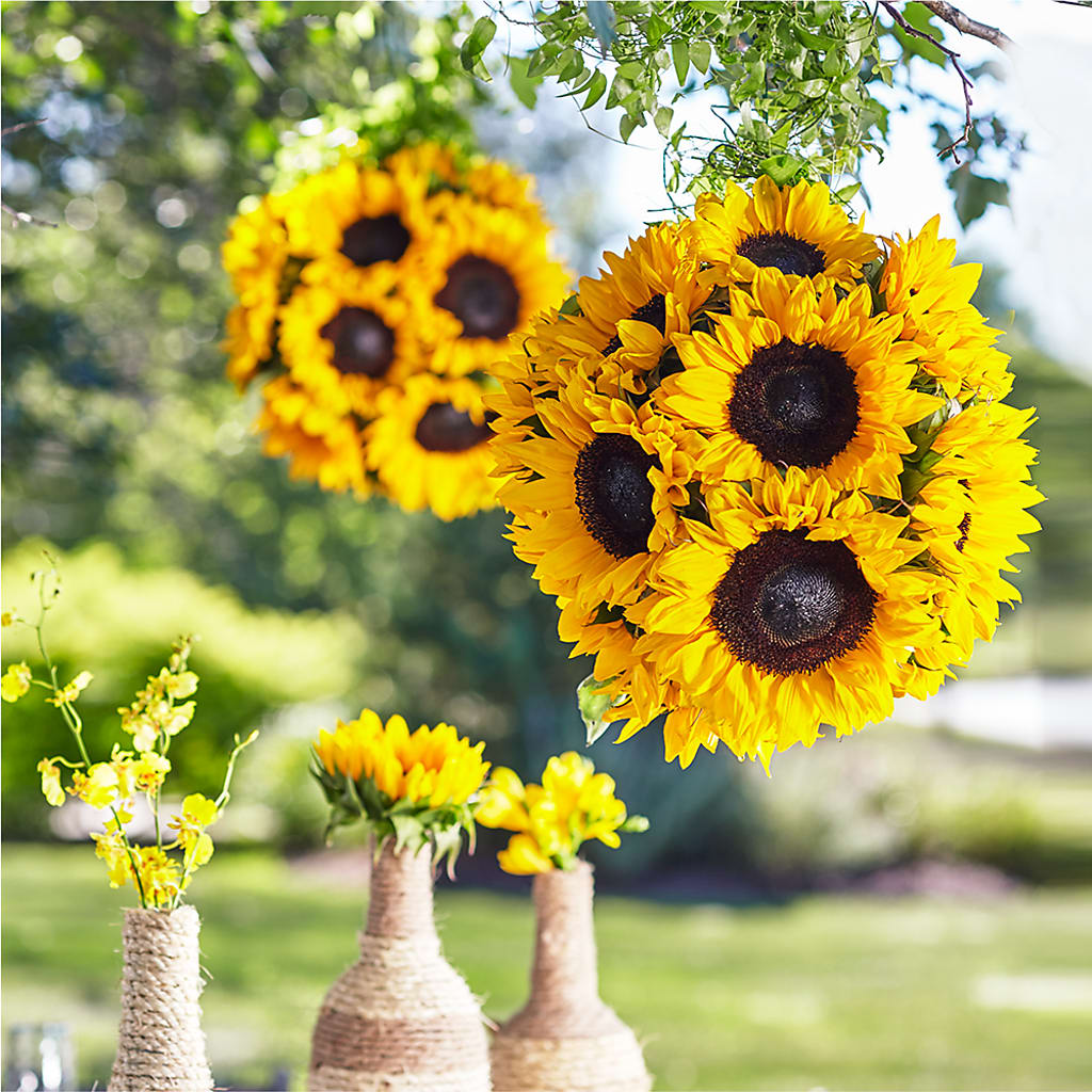 Sublime Garden Hanging Arrangement – Charlynda Fleuriste, Sherbrooke PQ