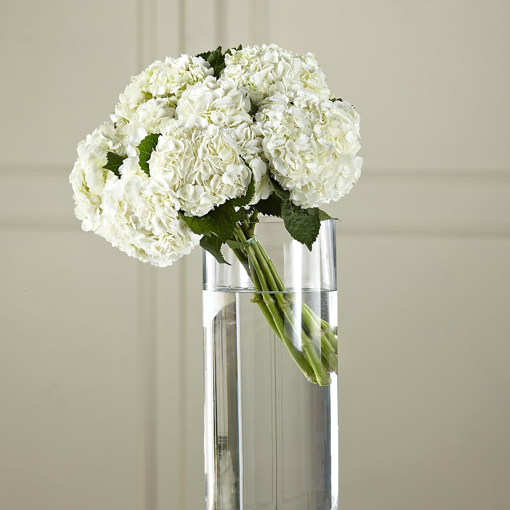 White Hydrangea Hand-Tied Bouquet – Charlynda Fleuriste, Sherbrooke PQ