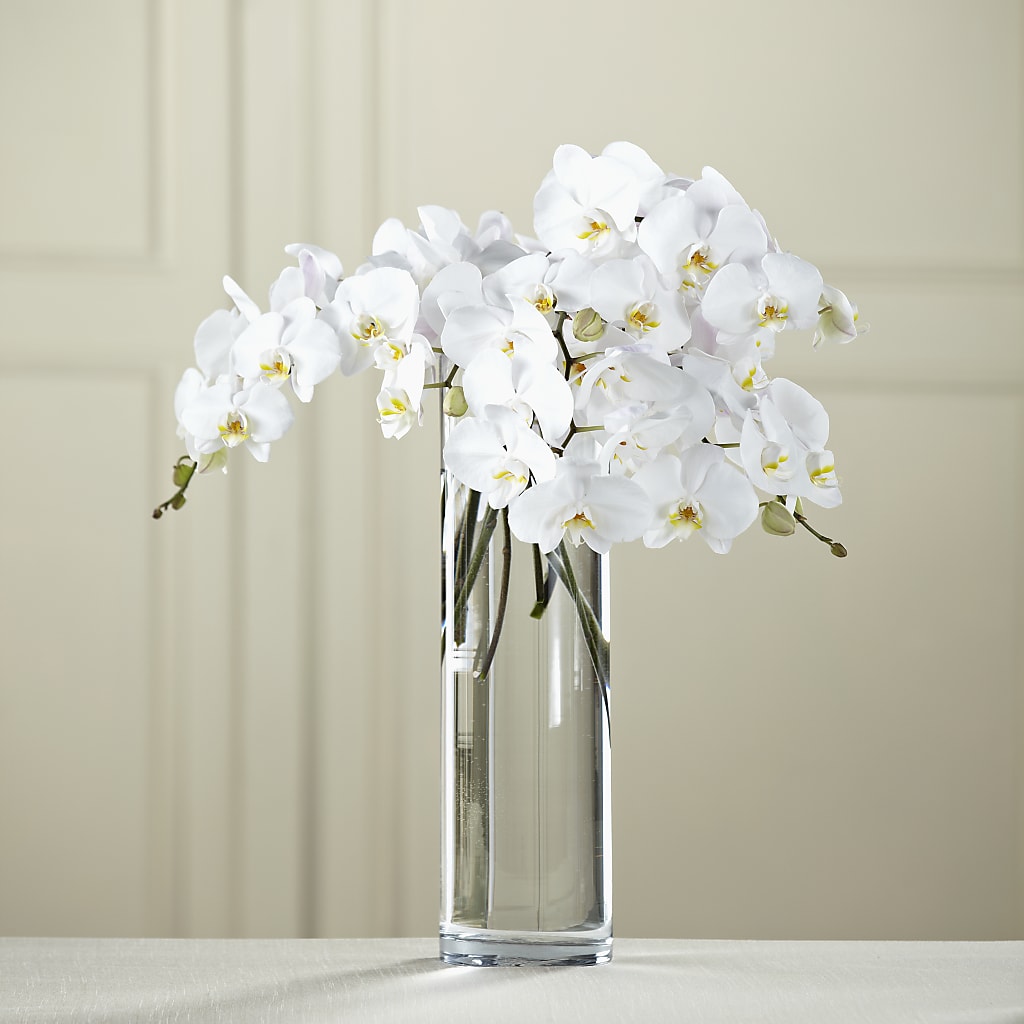 White Phalaenopsis Bouquet – Charlynda Fleuriste, Sherbrooke PQ
