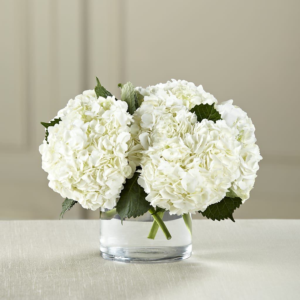 White Hydrangea Bouquet – Charlynda Fleuriste, Sherbrooke PQ