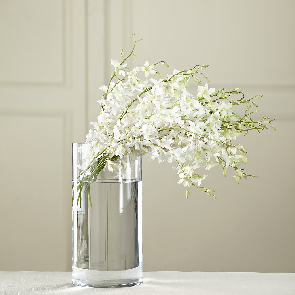 White Dendrobium Bouquet – Charlynda Fleuriste, Sherbrooke PQ