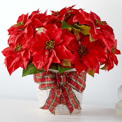 Poinsettia des fêtes les plus joyeuses