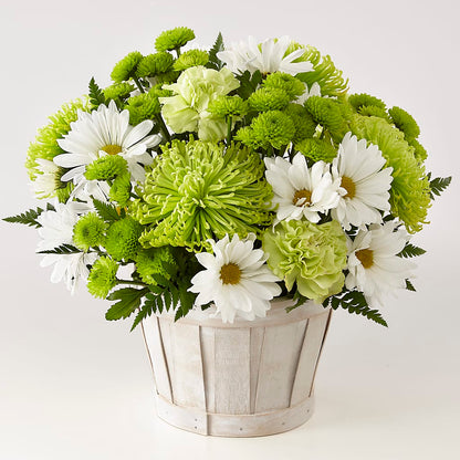 Lucky Charm Basket (Standard) –  Charlynda Fleuriste, Sherbrooke PQ