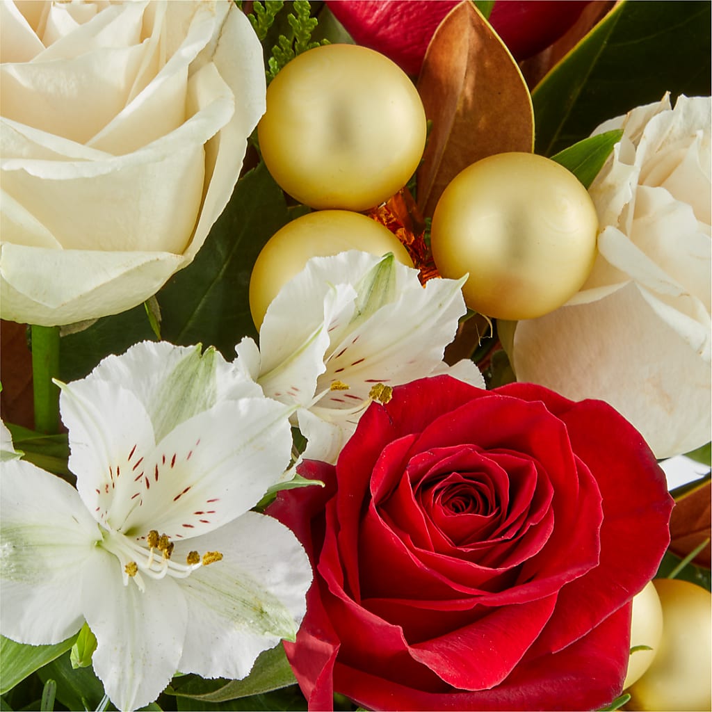 Joy & Jolly Bouquet –  Charlynda Fleuriste, Sherbrooke PQ