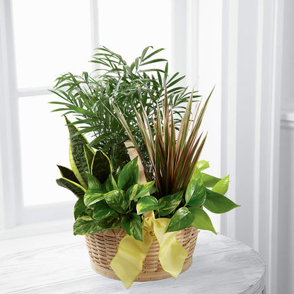 French Garden –  Charlynda Fleuriste, Sherbrooke PQ