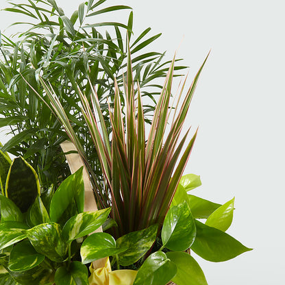 French Garden –  Charlynda Fleuriste, Sherbrooke PQ