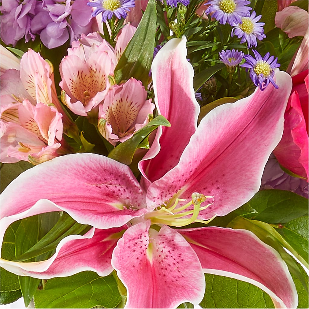 Written in the Stars Bouquet –  Charlynda Fleuriste, Sherbrooke PQ