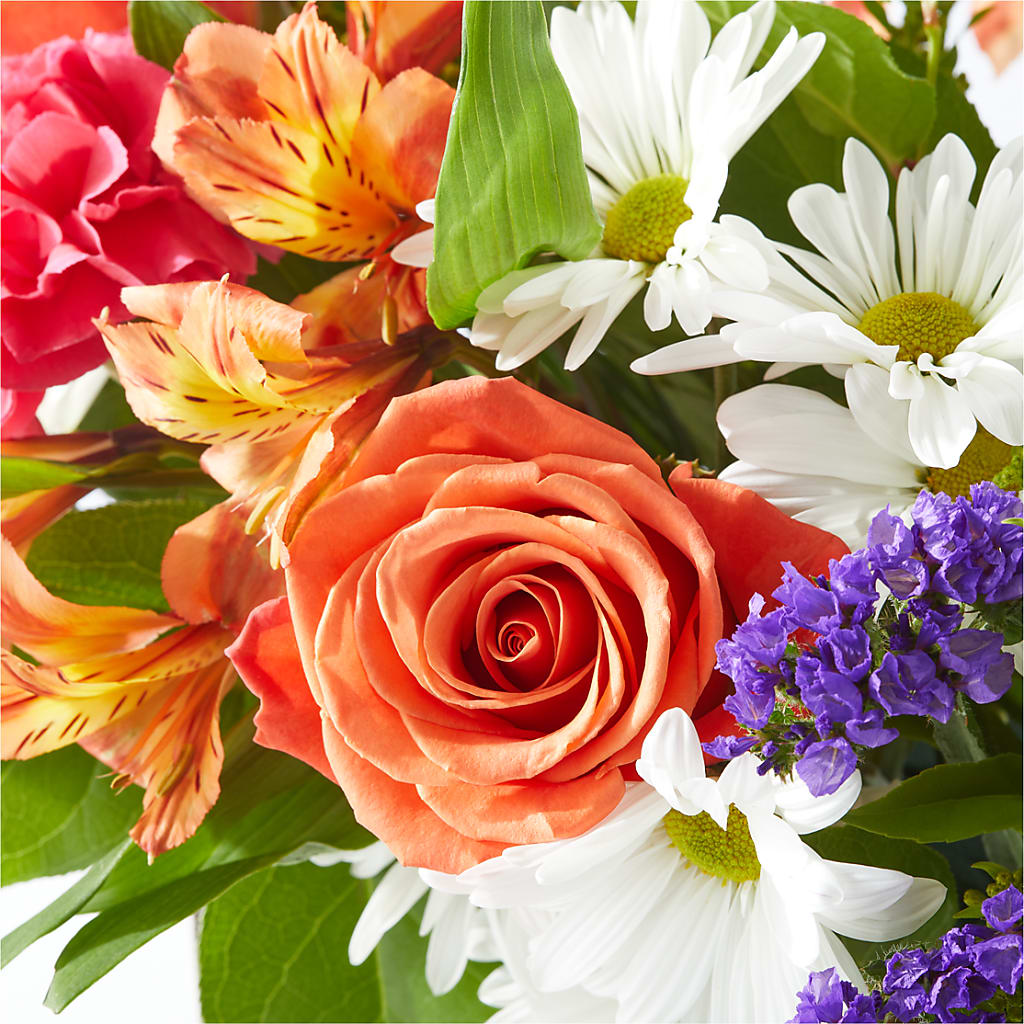 Oopsie Daisy Box Bouquet –  Charlynda Fleuriste, Sherbrooke PQ