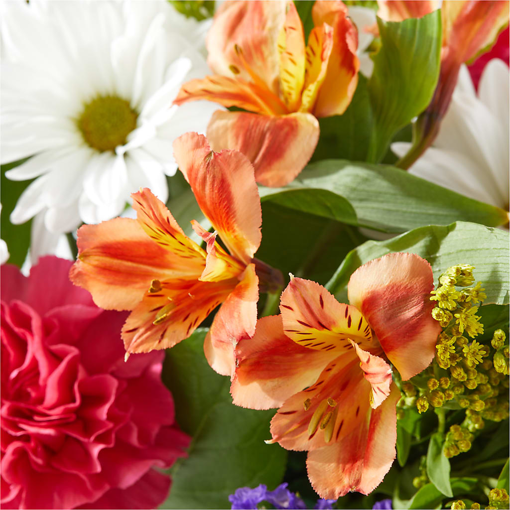 Oopsie Daisy Box Bouquet –  Charlynda Fleuriste, Sherbrooke PQ