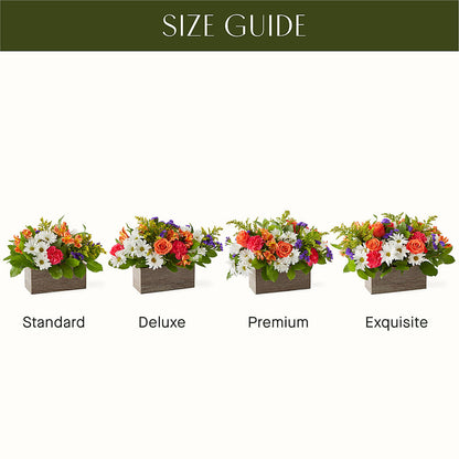 Oopsie Daisy Box Bouquet –  Charlynda Fleuriste, Sherbrooke PQ