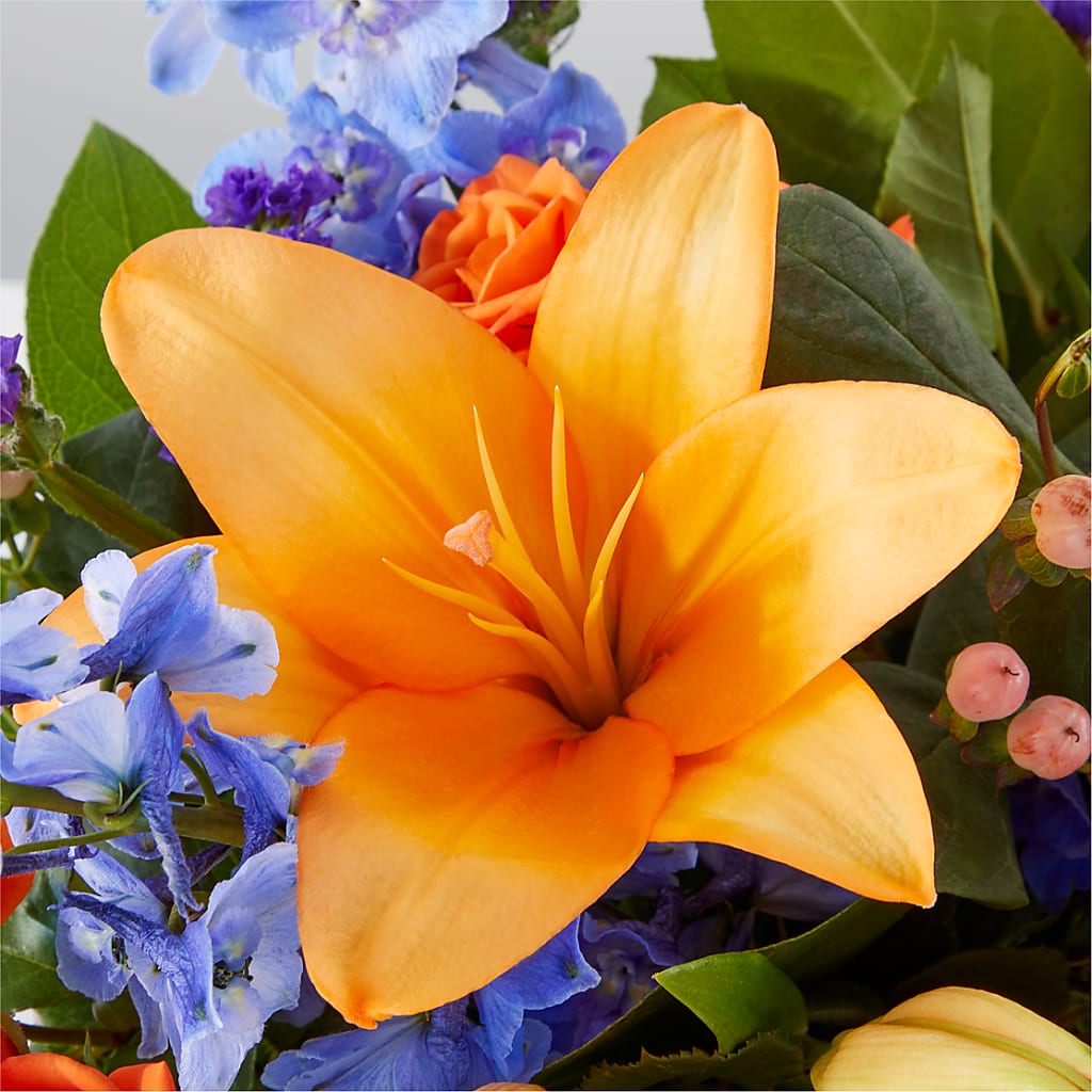 Radiant Citrus Box Bouquet –  Charlynda Fleuriste, Sherbrooke PQ
