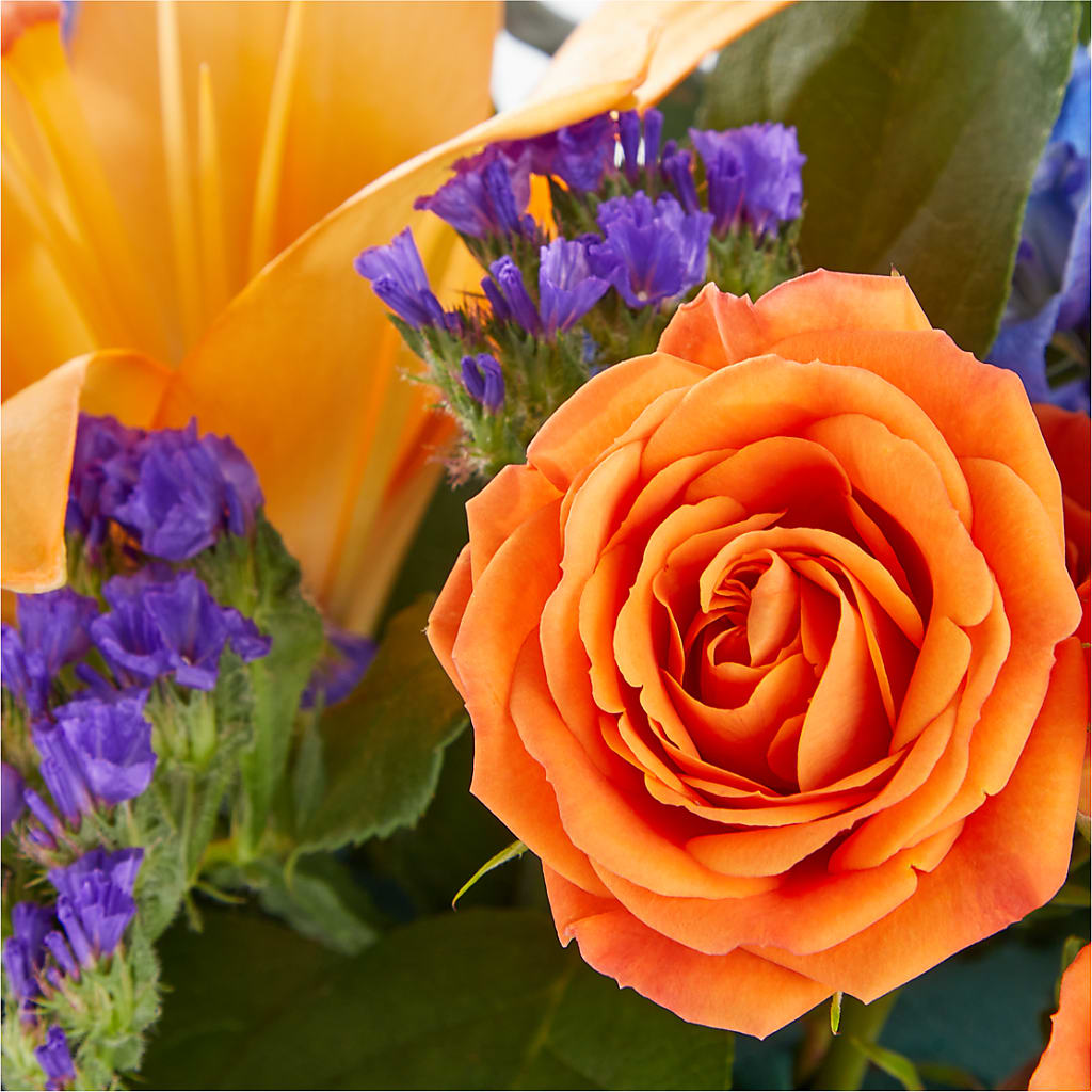 Radiant Citrus Box Bouquet –  Charlynda Fleuriste, Sherbrooke PQ