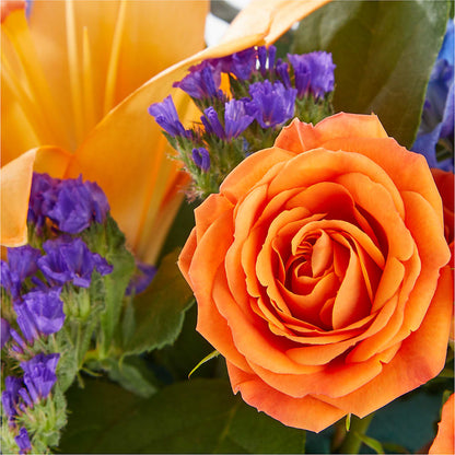 Radiant Citrus Box Bouquet –  Charlynda Fleuriste, Sherbrooke PQ