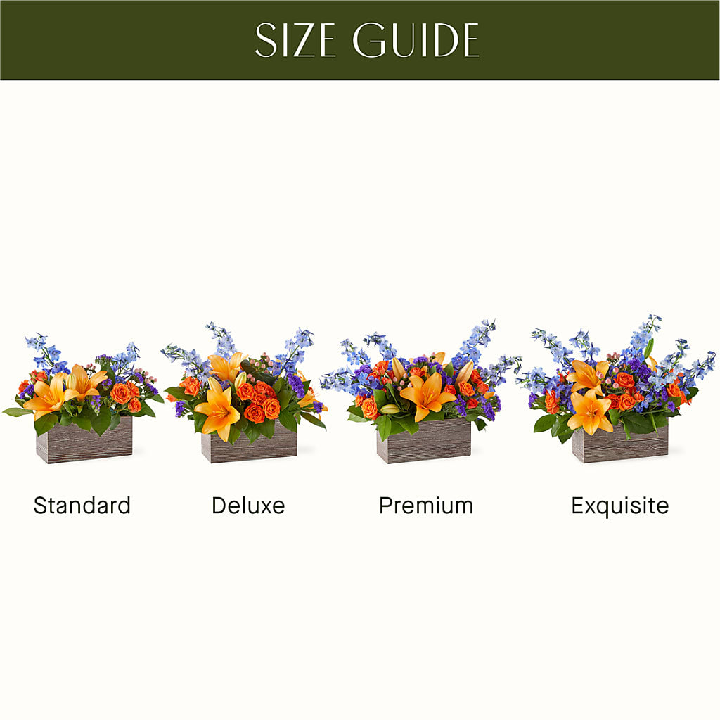 Radiant Citrus Box Bouquet –  Charlynda Fleuriste, Sherbrooke PQ