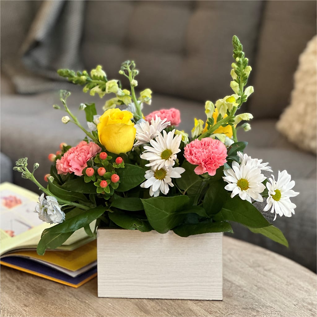 Sun Salutation Box Bouquet –  Charlynda Fleuriste, Sherbrooke PQ