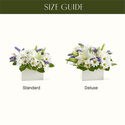 Beyond Blue Box Bouquet –  Charlynda Fleuriste, Sherbrooke PQ