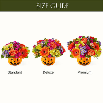 Tricks & Treats Pumpkin –  Charlynda Fleuriste, Sherbrooke PQ