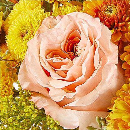 Peachy Pumpkin –  Charlynda Fleuriste, Sherbrooke PQ