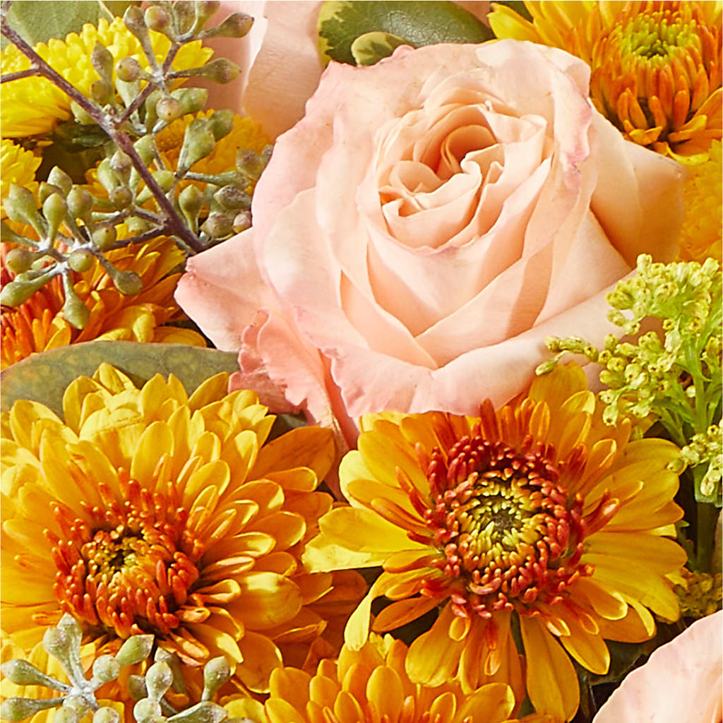 Peachy Pumpkin –  Charlynda Fleuriste, Sherbrooke PQ