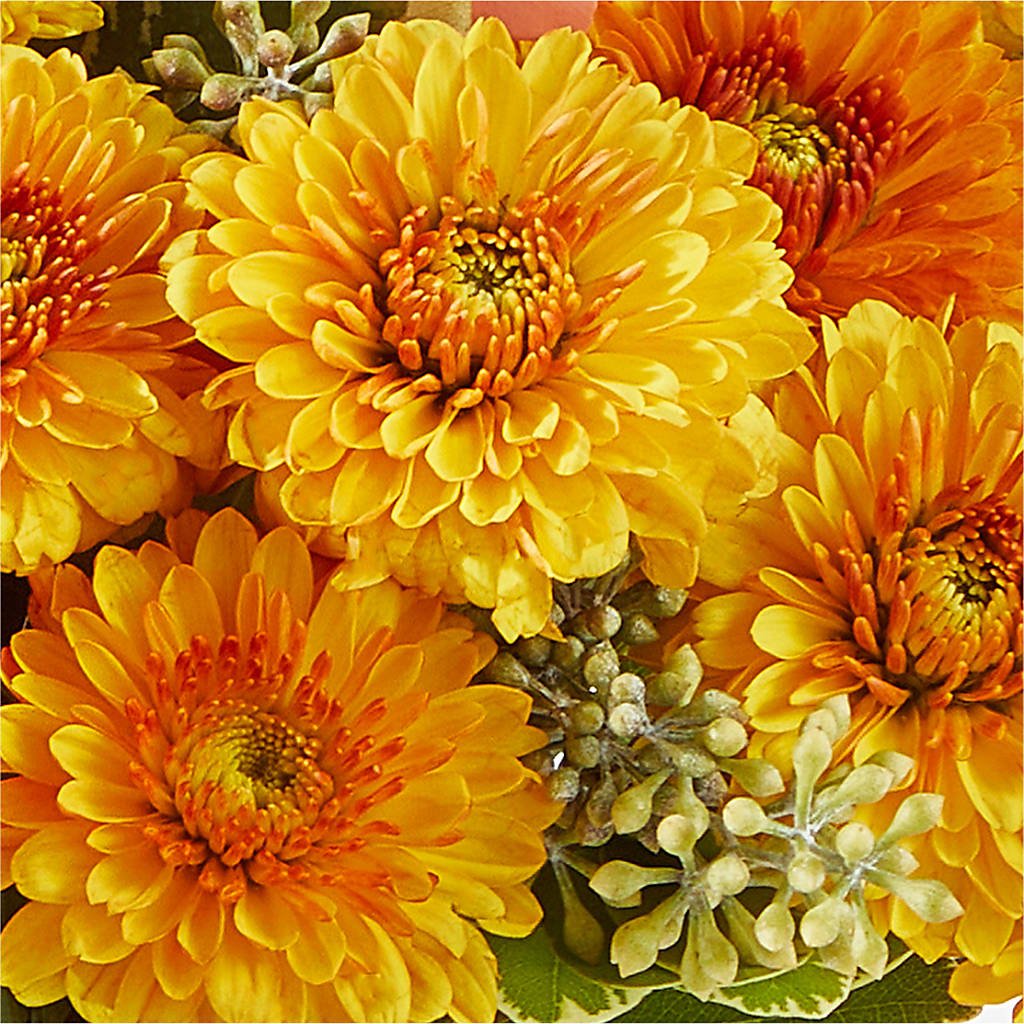 Peachy Pumpkin –  Charlynda Fleuriste, Sherbrooke PQ