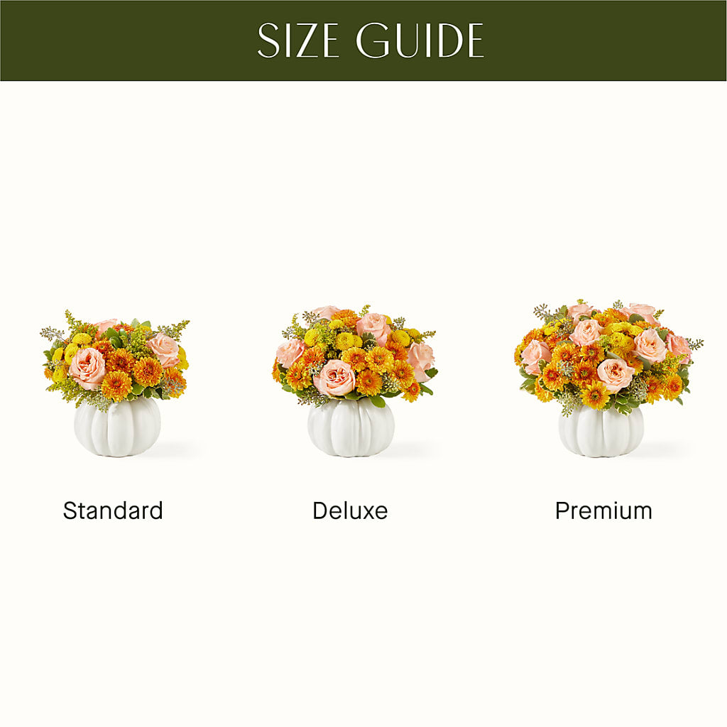 Peachy Pumpkin –  Charlynda Fleuriste, Sherbrooke PQ