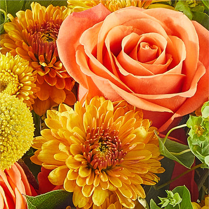 Gourdgeous Pumpkin –  Charlynda Fleuriste, Sherbrooke PQ