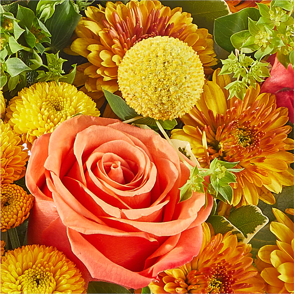 Gourdgeous Pumpkin –  Charlynda Fleuriste, Sherbrooke PQ