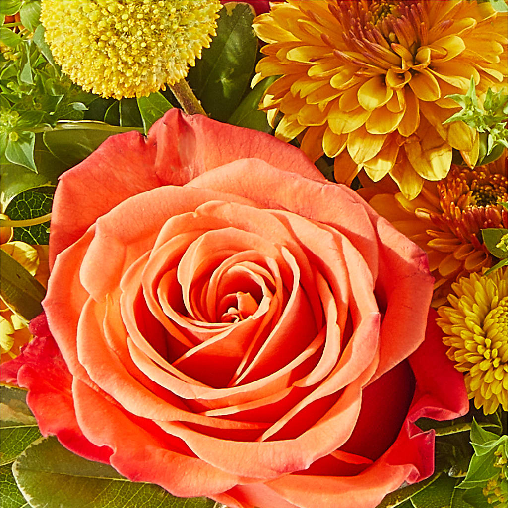 Gourdgeous Pumpkin –  Charlynda Fleuriste, Sherbrooke PQ