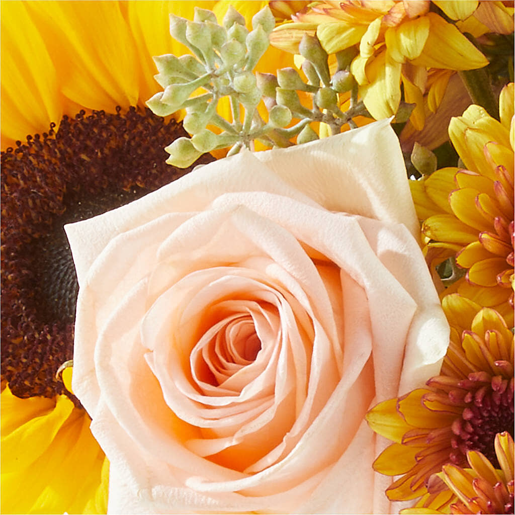 Pumpkin to Talk About Bouquet –  Charlynda Fleuriste, Sherbrooke PQ