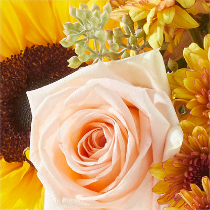 Pumpkin to Talk About Bouquet –  Charlynda Fleuriste, Sherbrooke PQ