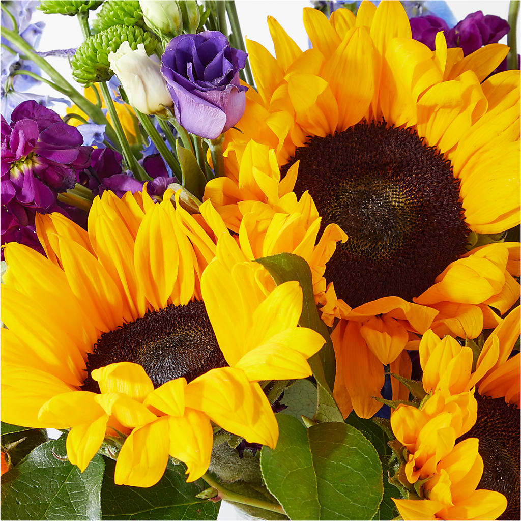 Catching Rays Bouquet –  Charlynda Fleuriste, Sherbrooke PQ