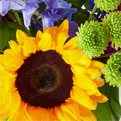 Catching Rays Bouquet –  Charlynda Fleuriste, Sherbrooke PQ