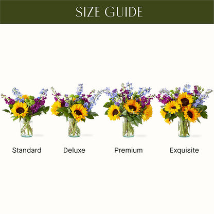 Catching Rays Bouquet –  Charlynda Fleuriste, Sherbrooke PQ
