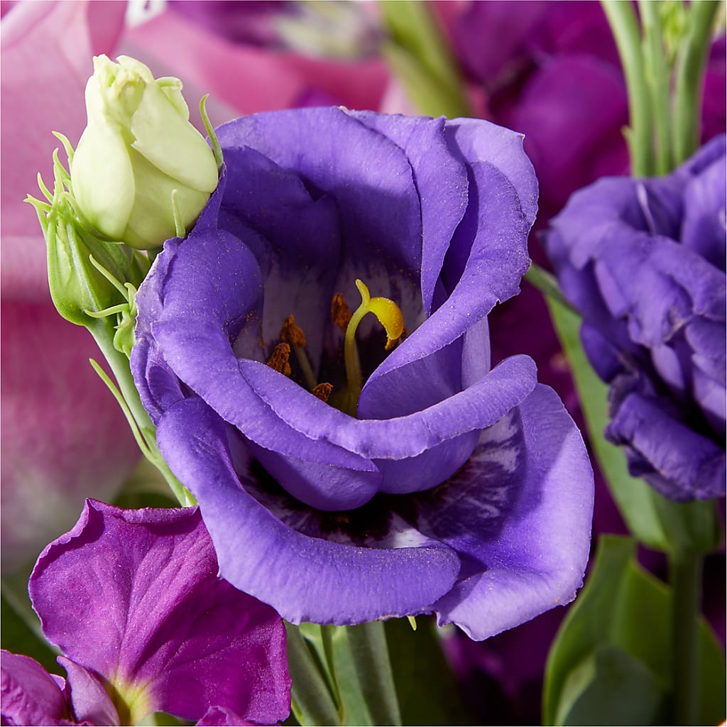 Twilight Glow Bouquet –  Charlynda Fleuriste, Sherbrooke PQ